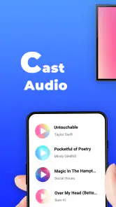 TV Cast: Anycast i smart vy screenshot