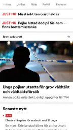 TV4 Nyheterna screenshot