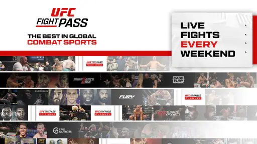 UFC screenshot