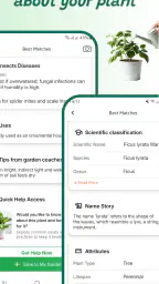 Växtidentifierare screenshot