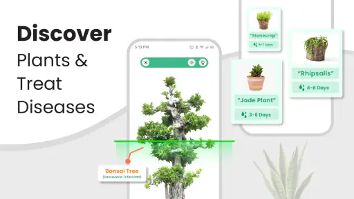 Växtidentifierare - Växtapp screenshot