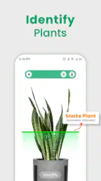 Växtidentifierare - Växtapp screenshot