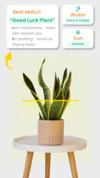Växtidentifierare - Växtapp screenshot