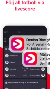Viascore screenshot