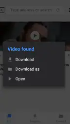 Video Downloader screenshot