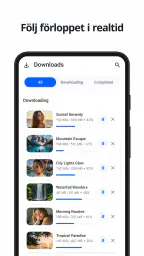 Video Downloader Inga annonser screenshot