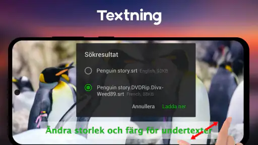 Video Player All Format screenshot