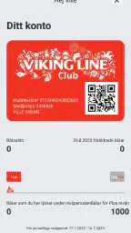 Viking Line screenshot