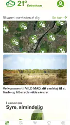 VILD MAD screenshot