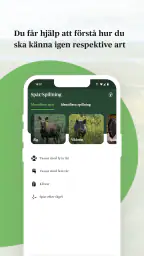 Viltappen screenshot