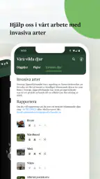 Viltappen screenshot