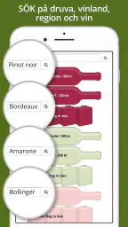 VinBetyget screenshot