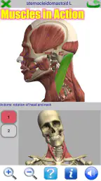 Visual Anatomy 2 screenshot