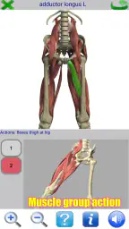 Visual Anatomy 2 screenshot