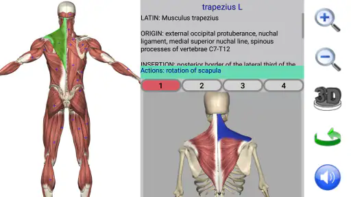 Visual Anatomy 2 screenshot