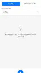 Voicifier: Voice Translator screenshot