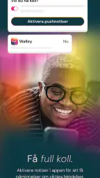 Walley screenshot