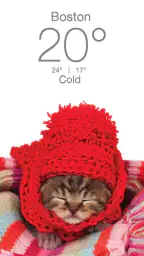 Weather Kitty - App & Widget screenshot