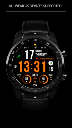 WFP 241 Digital watch face screenshot