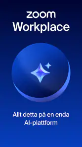 Zoom Workplace screenshot